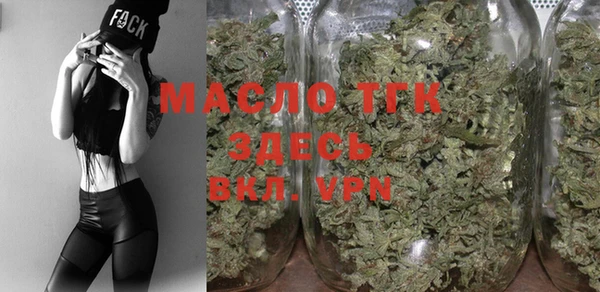 крисы Тайга