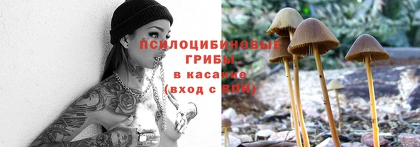 spice Протвино