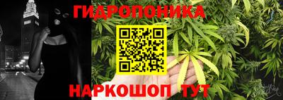 крисы Ирбит