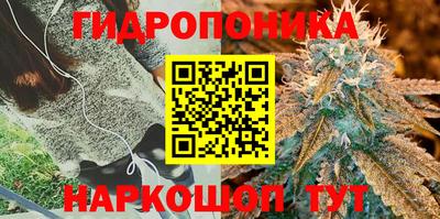 крисы Ирбит