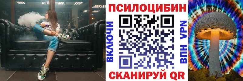 Псилоцибиновые грибы Cubensis  Усолье-Сибирское 