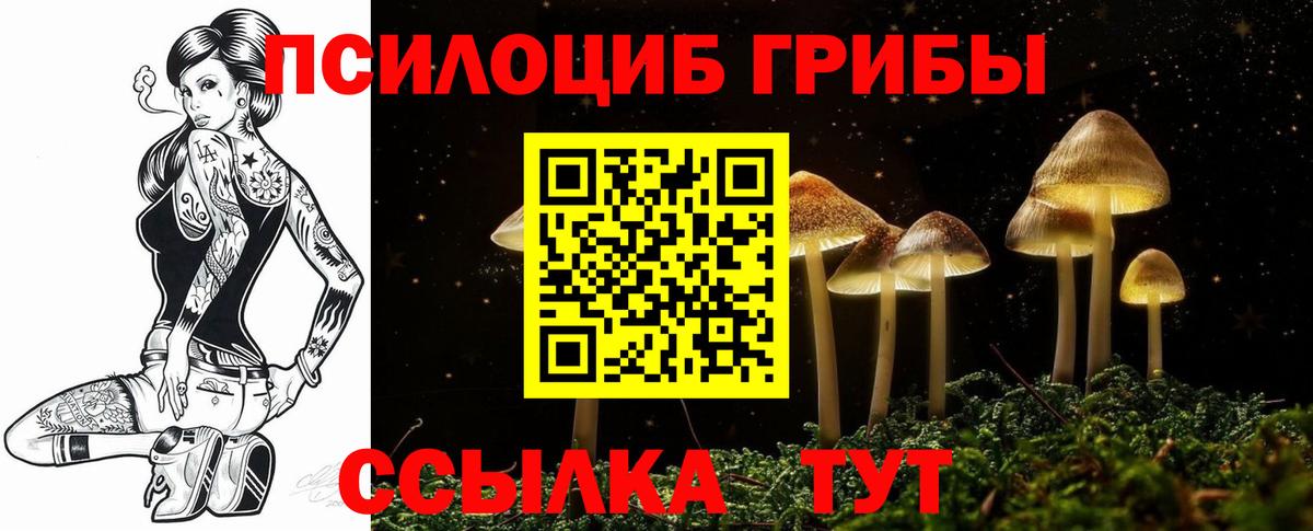 как найти закладки  Вход с VPN  Усолье-Сибирское  Галлюциногенные грибы мухоморы 